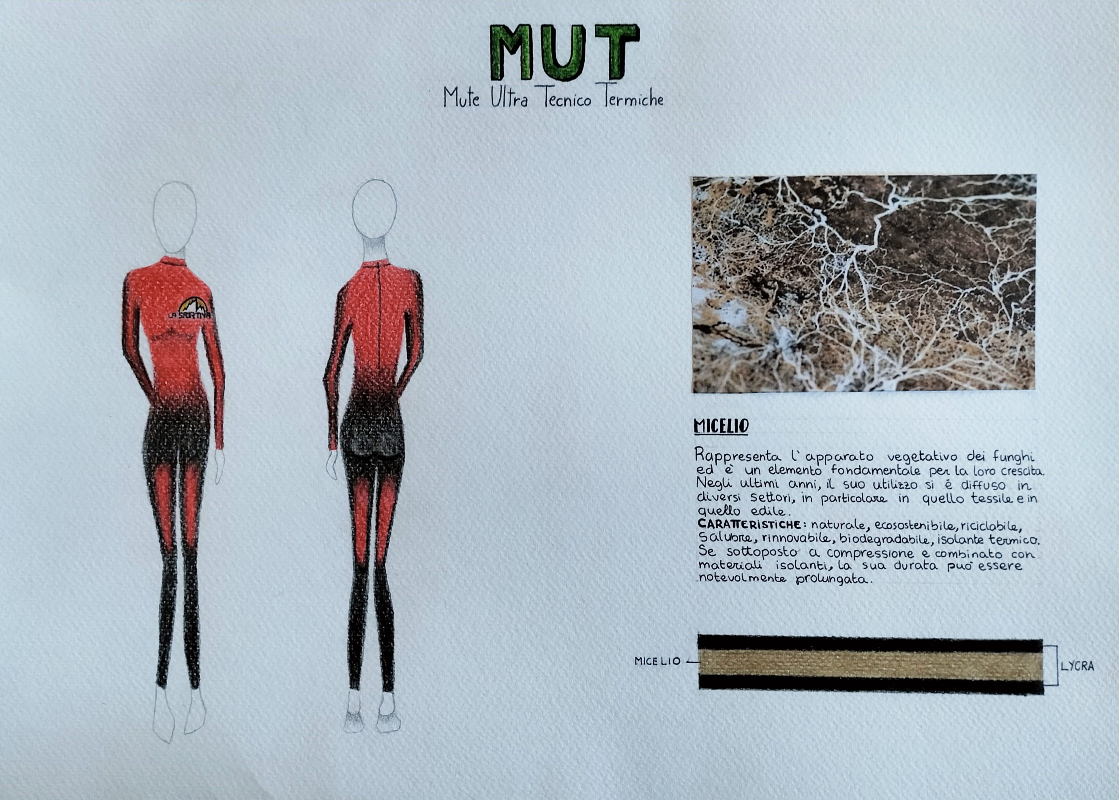 Progetto MUT Gome Neve